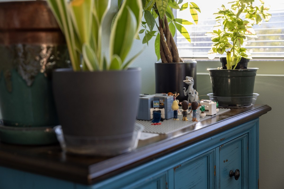 Plants and cabinet inside the Sweeten CPA office, an accounting firm in South Austin